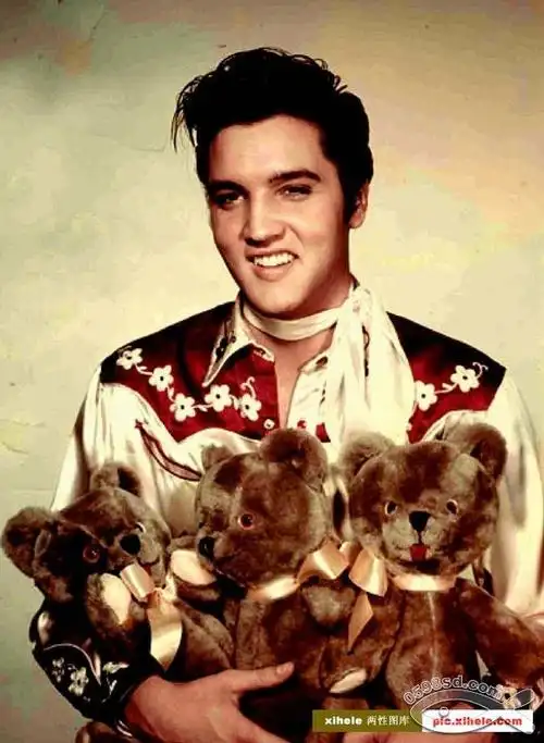 美国最受欢迎已逝歌手 猫王elvis 经典歌曲 fame and fortune