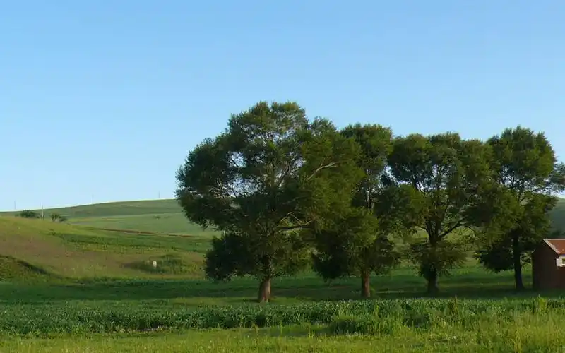 沽源坝上草原湿地风景
