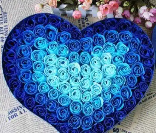 1,另一半/恋人有一句很流行的话,将最美的蓝色妖姬送给我最爱的人