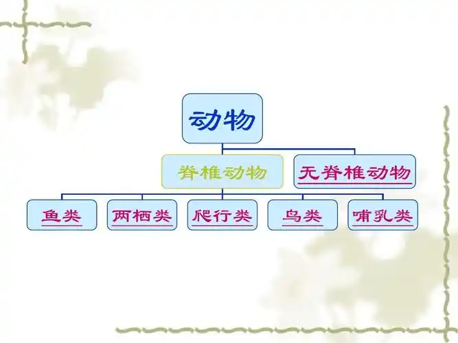动物 脊椎动物 鱼类 两栖类 爬行类 无脊椎动物 鸟类 哺乳类