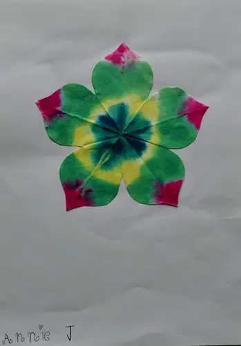 3.8瑞博幼儿园美术染纸课程 art-gou 付振华老师