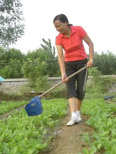 热心浇灌幸福菜!