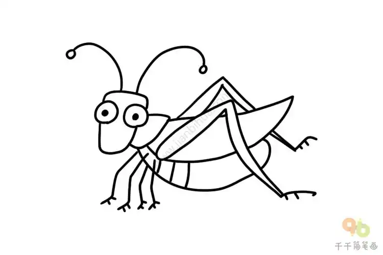 蝈蝈简笔画图片