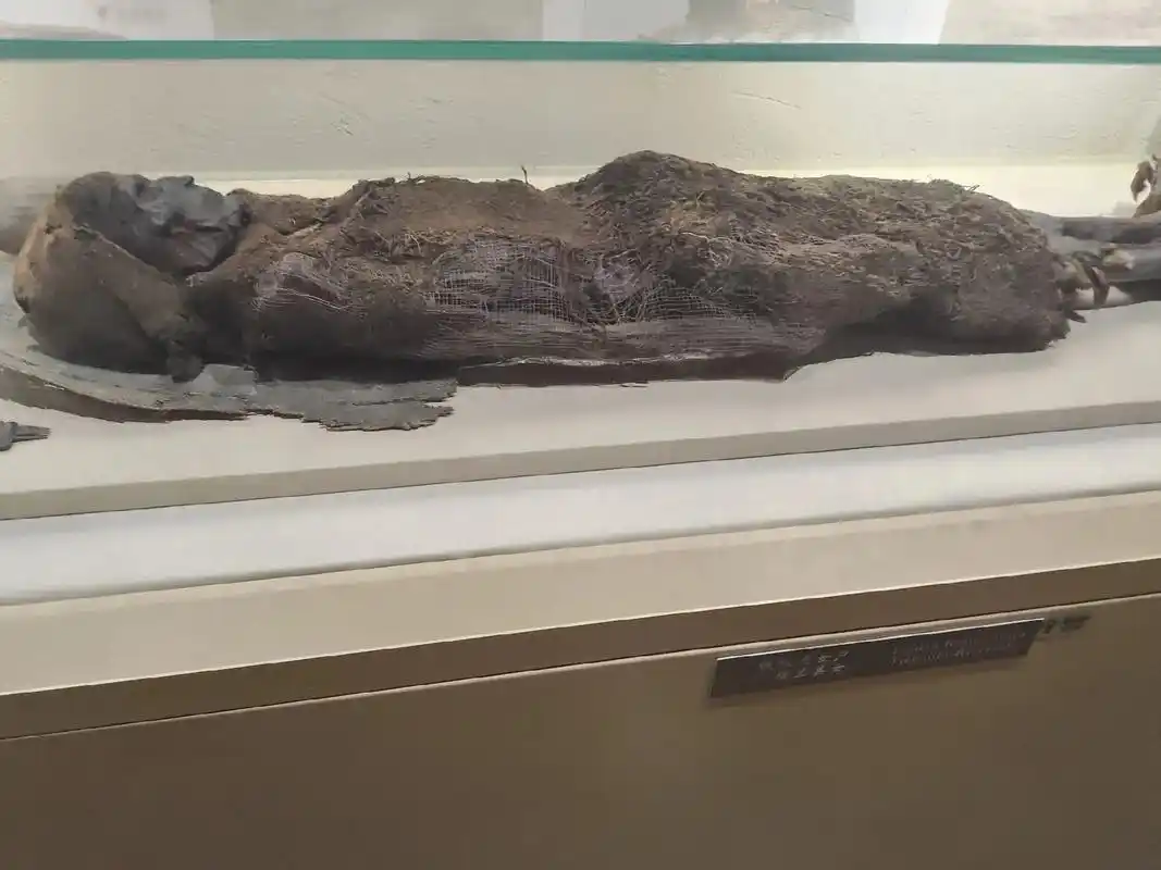 楼兰美女古尸 我的凝视,穿越了千年.当三魂七魄消散,你的美 - 抖音