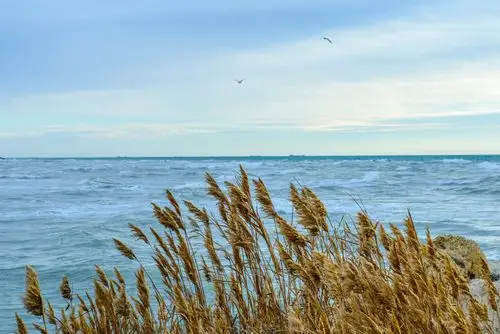 里海一瞥 - 自然类-摄影大赛2016 - 地理中文网—《国家地理》杂志