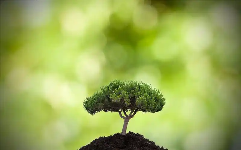 清新绿色环保素材背景高清桌面壁纸下载