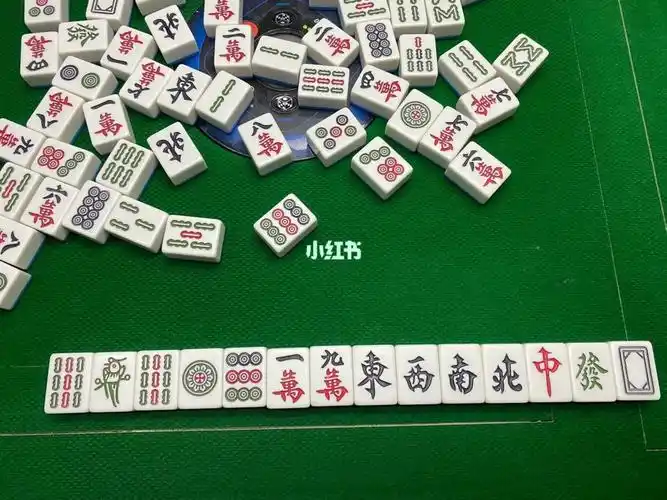 纪念一下自摸十三幺