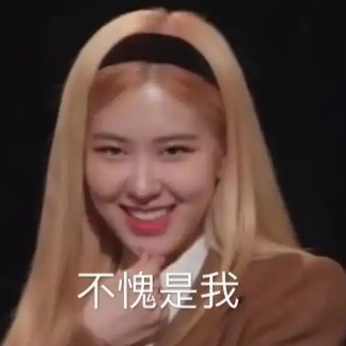 情包沙雕rosé朴彩英系列