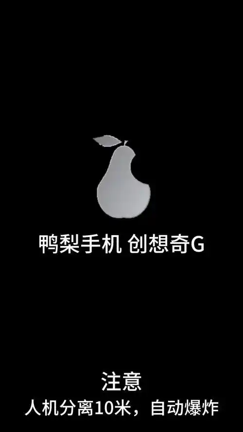 鸭梨11手机开关机