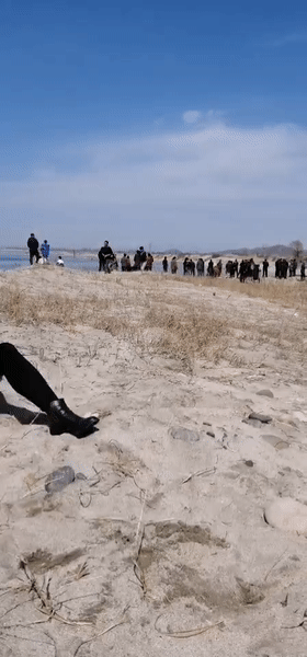 保定一女子坠河不幸溺水身亡疑因生活不如意轻生