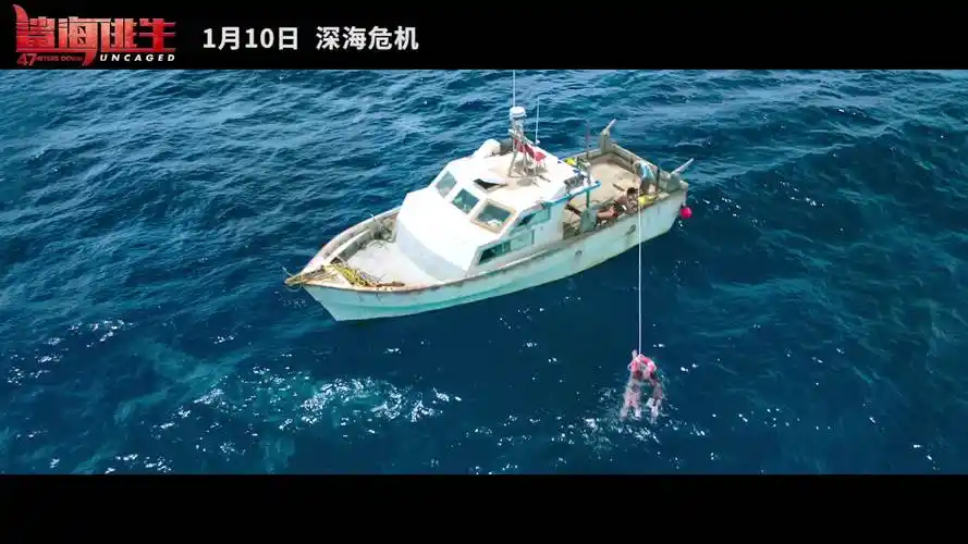 好莱坞灾难大片《鲨海逃生》定档1月10日 绝美海域暗藏鲨机-影视综