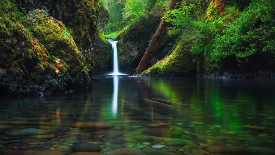 护眼壁纸【215】(小清新静态壁纸) - 静态壁纸下载 - 元气壁纸