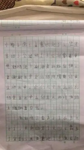 看图写话《雨伞该送给谁》优秀作文展示