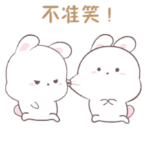 兔子 表情包 可爱