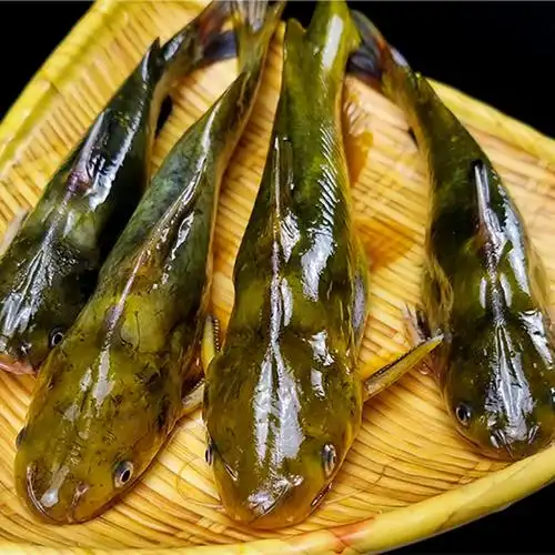 新鲜嘎鱼黄辣丁黄腊丁鲜捕捞宰杀后净膛真空发货禾人共4斤