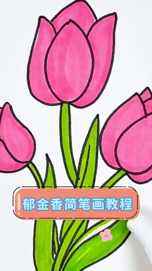 郁金香简笔画教程
