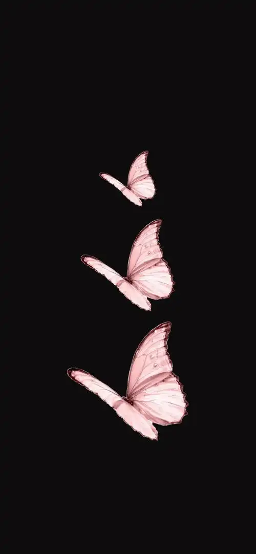 蝴蝶壁纸大全 | 纯黑背景图锁屏壁纸