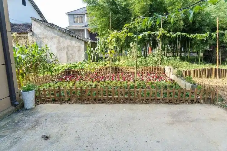 细细点缀这些美丽庭院景观带勾勒出了身边最美的风景天蓝,地净,景美一