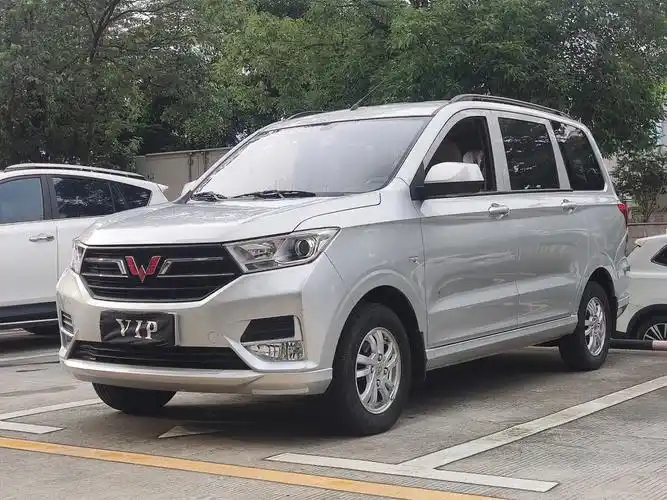 准2021年,五菱宏光s,1.