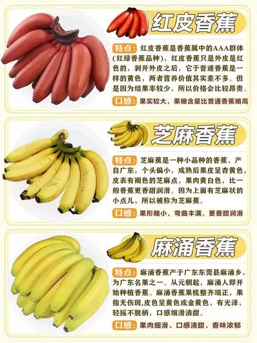 盘点常见各香蕉的品种及区别,根据自己的喜好来选择喜欢的品种