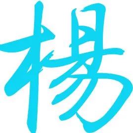 请帮我设置个杨字的个性qq头像,我qq614890543.谢谢啦