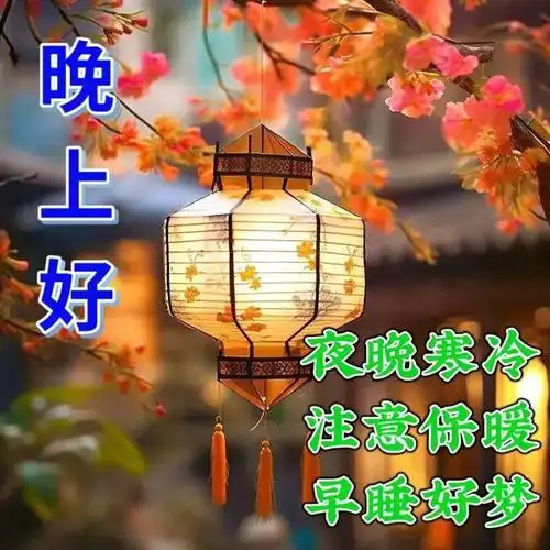 最新最美晚上好问候语温馨语录晚安早睡好梦