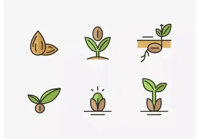 07农林废弃物(水稻秸秆,多汁蔬菜,瓜菜藤蔓,林地枝藤等)未按规定实施