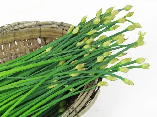 如何选购韭菜花?韭菜花上的花能吃吗?