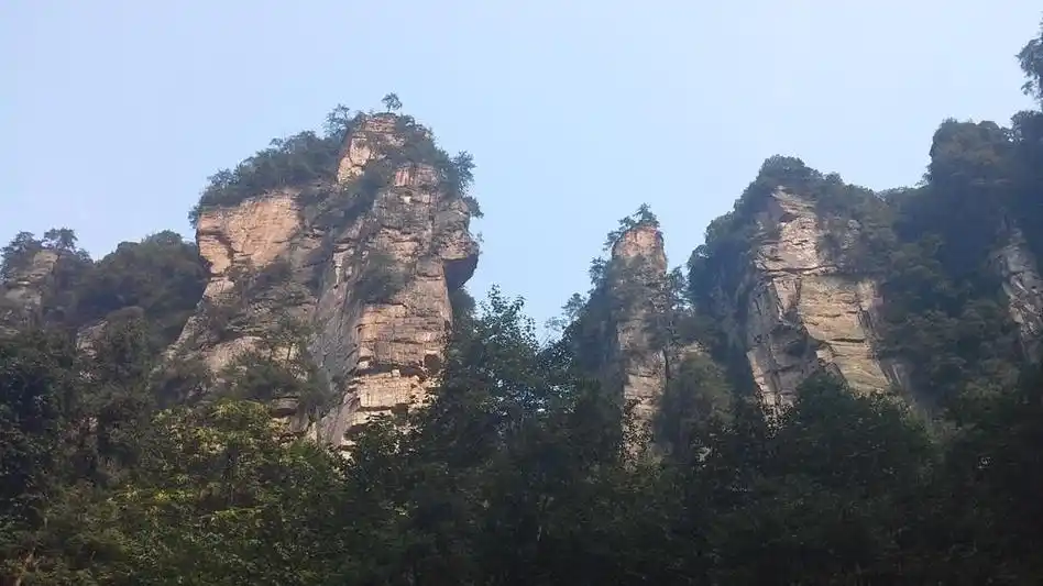 在张家界武陵源,有一个被大树环绕的秘境——乱窜坡99,一起去探索它