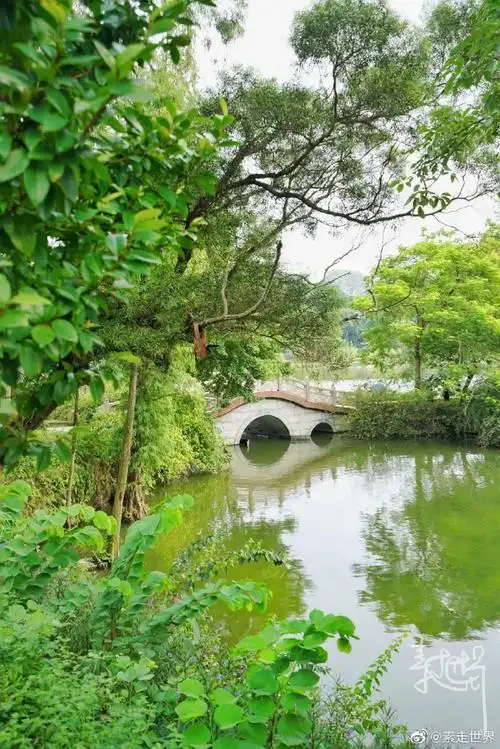 网红打卡肇庆##广东文旅促消活动##网红景点