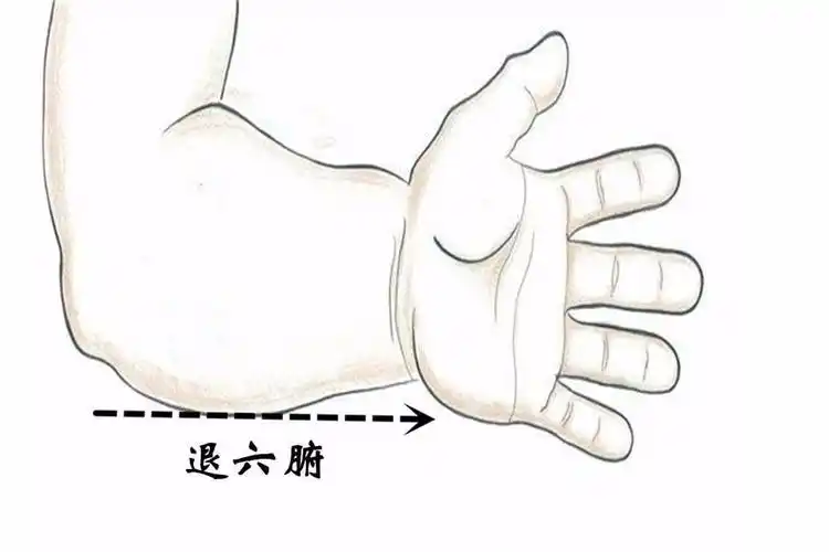 每天学一点穴位——退六腑