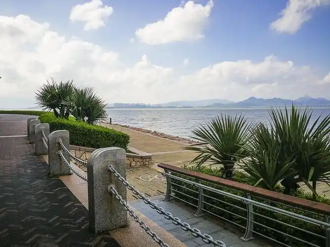 深圳湾红树林公园 ~ 掠影