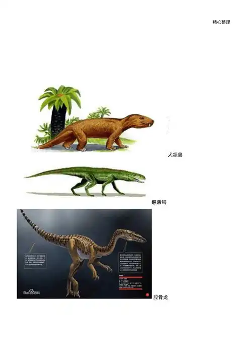 最全恐龙名字以及图片