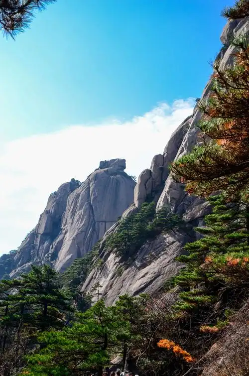 婺源,黄山,宏村行摄之二 —— 黄山游记