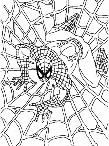 halloween spider man coloring