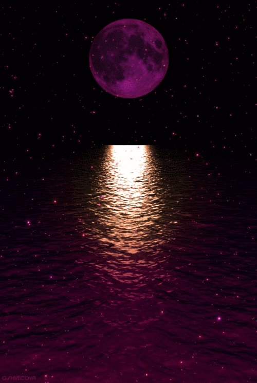 510_760竖版 竖屏gif 动态图 动图