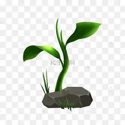 手绘春季牵牛花发芽插画