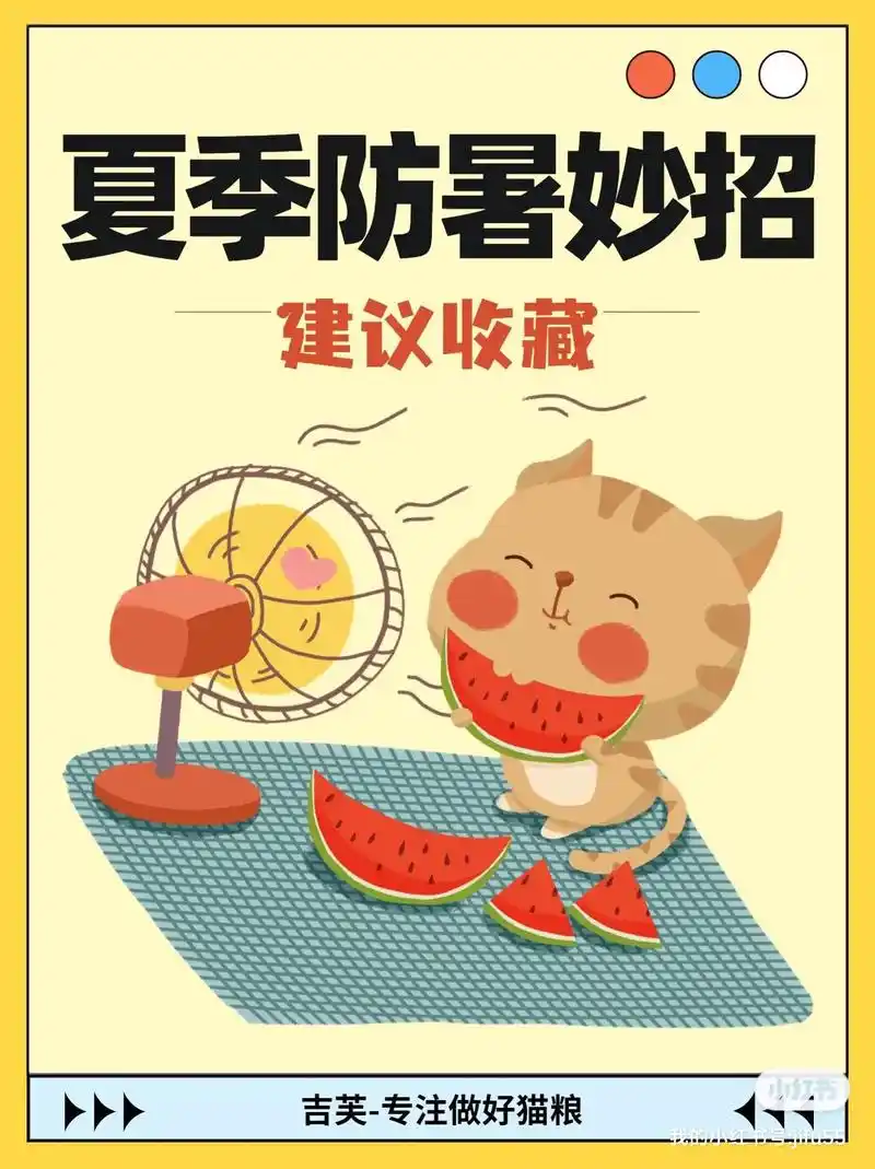 夏季防晒小妙招i养猫必备.夏天到啦!天气真的泰热啦!给大家整 - 抖音