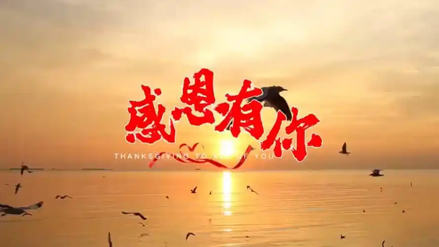 感谢姐姐的支持和陪伴!