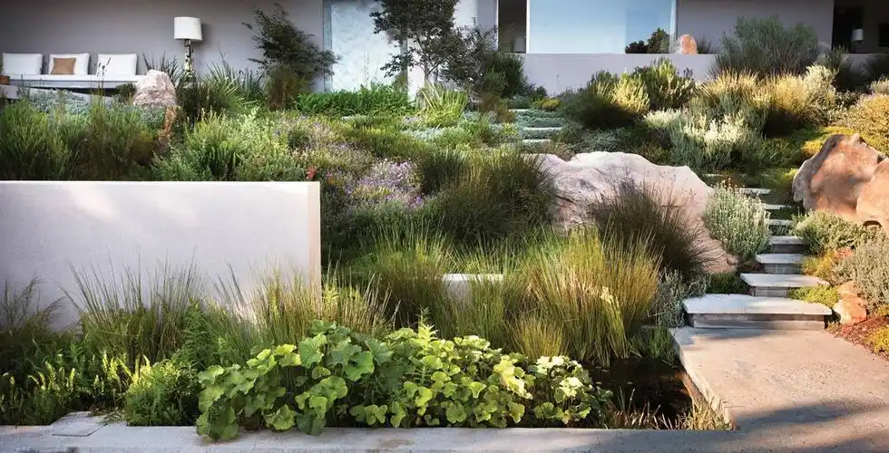 庭院景观意向图