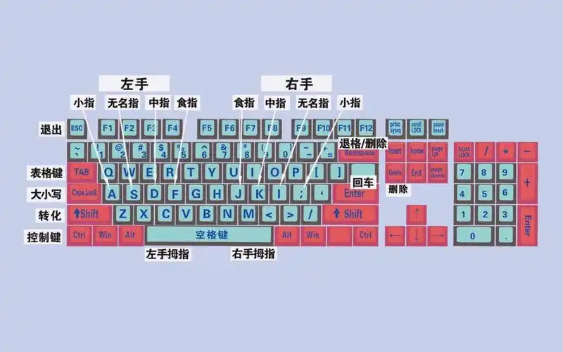 零基础学电脑从认识键盘开始,不会打字的,记不住键盘的看过来