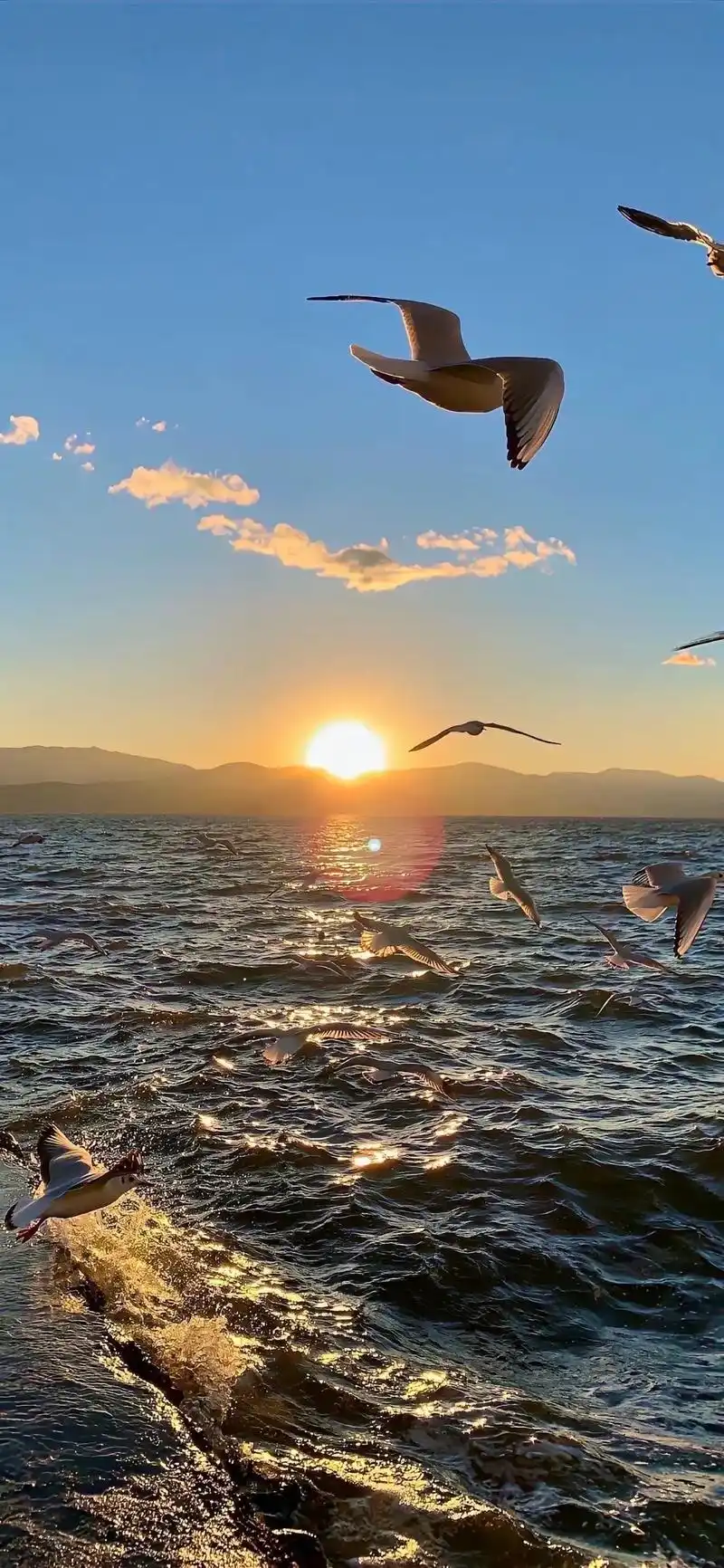 壁纸.#壁纸 #背景图 #大海 后来你融入了世俗  有个少年 - 抖音