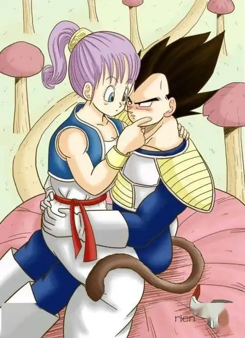 龙珠图集贝吉塔与布玛的点滴