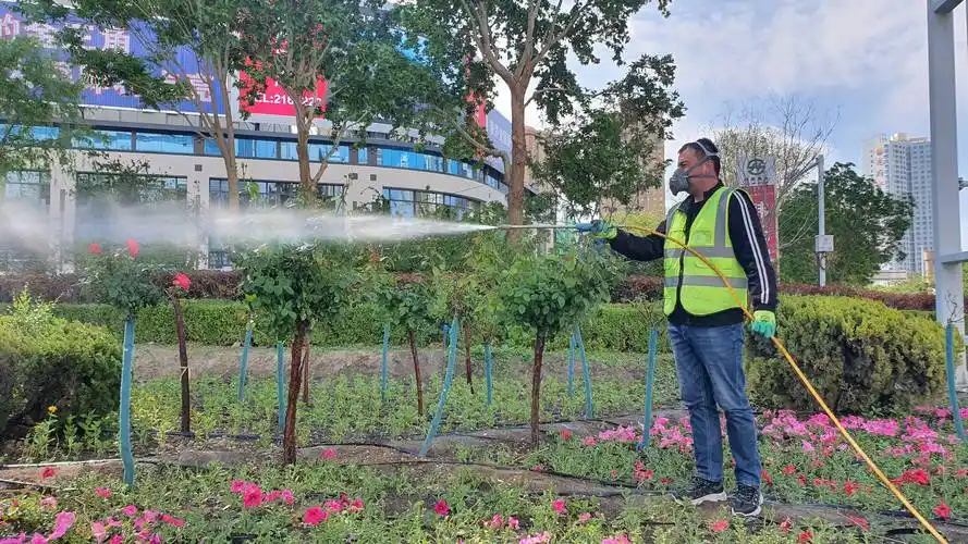 市园林绿化事务中心打药除虫保护城市绿化成果