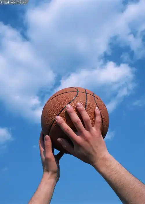 双手投篮姿势图片