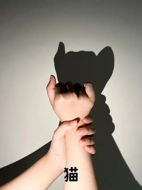 趣味儿童手影教程,替孩子存下吧,划走就找不到了#亲子游戏