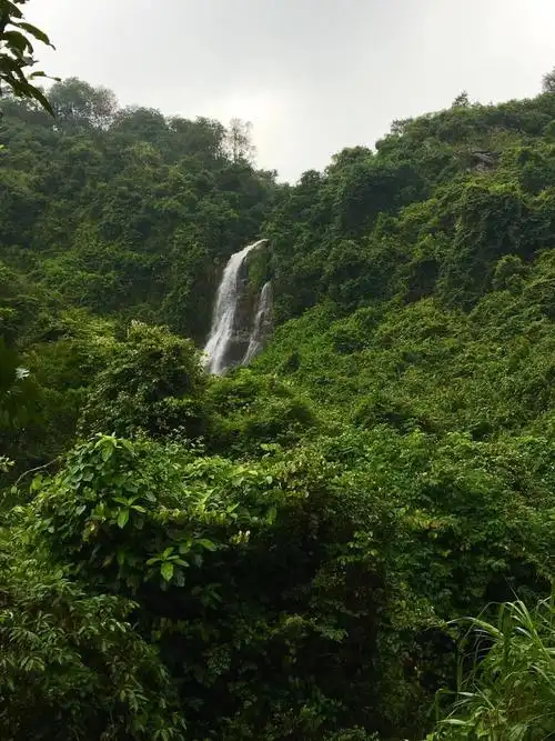 白水瀑布位于阳江阳春市八甲镇10多公里外的崇山峻岭中在下游还有这种