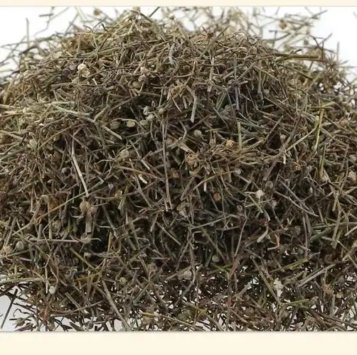 白花蛇舌草价格