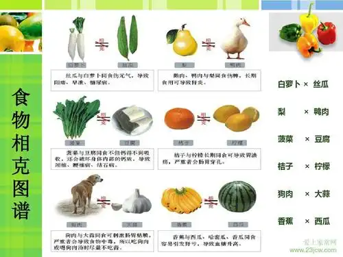 食物相克图表大全