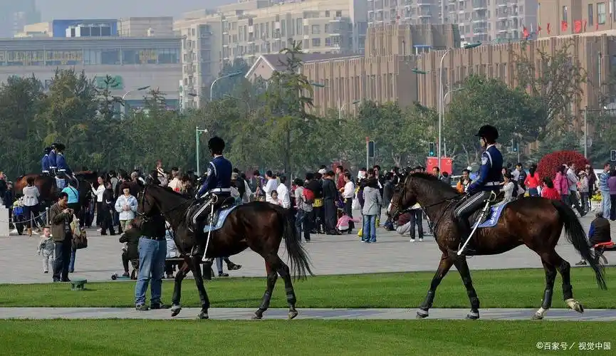 畅行联盟带你去看大连的女子骑警基地,绝不用担心会欺骗消费者_训练